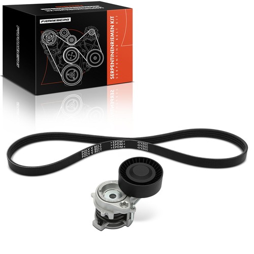 Frankberg serpentine belt - serpentine,