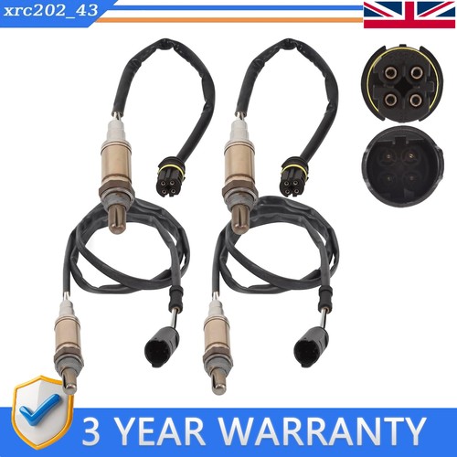 Front rear oxygen - front,